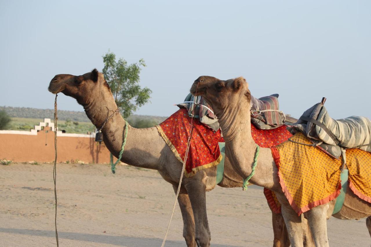 Sunny Desert Camp Kuri Bagian luar foto