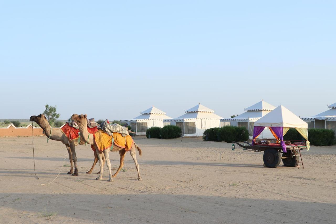 Sunny Desert Camp Kuri Bagian luar foto