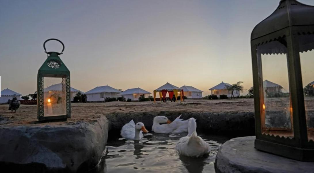 Sunny Desert Camp Kuri Bagian luar foto
