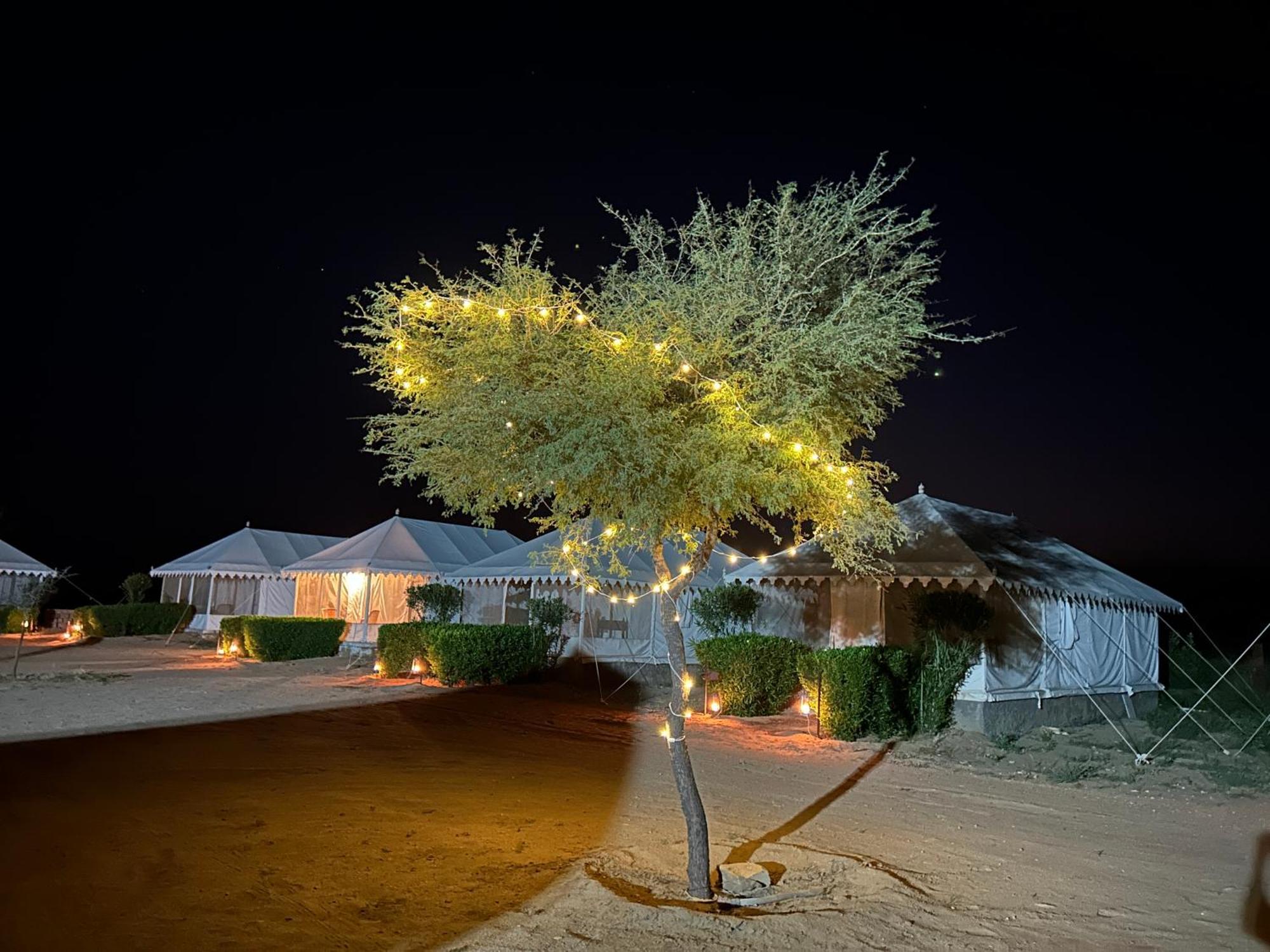 Sunny Desert Camp Kuri Bagian luar foto