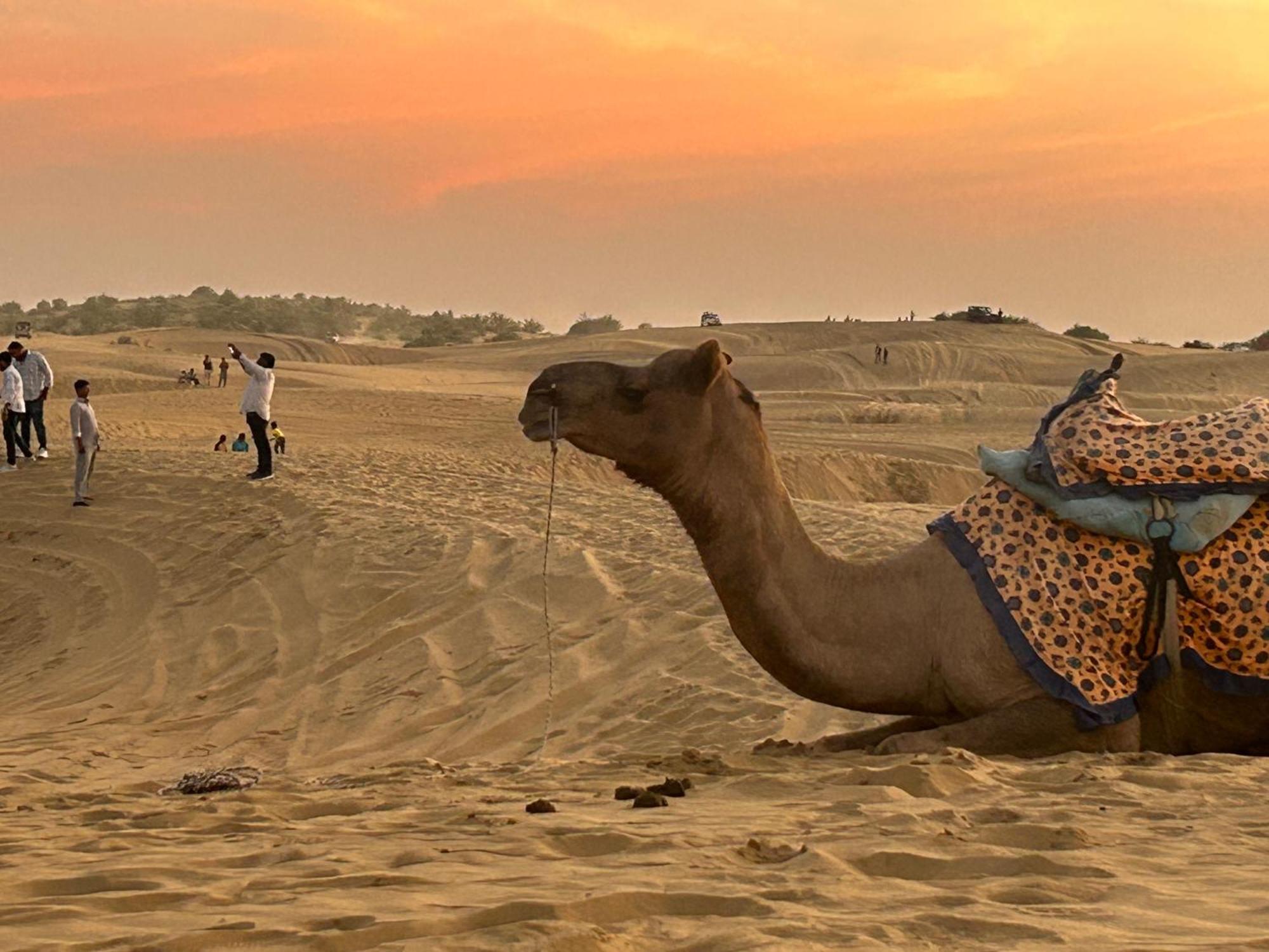 Sunny Desert Camp Kuri Bagian luar foto