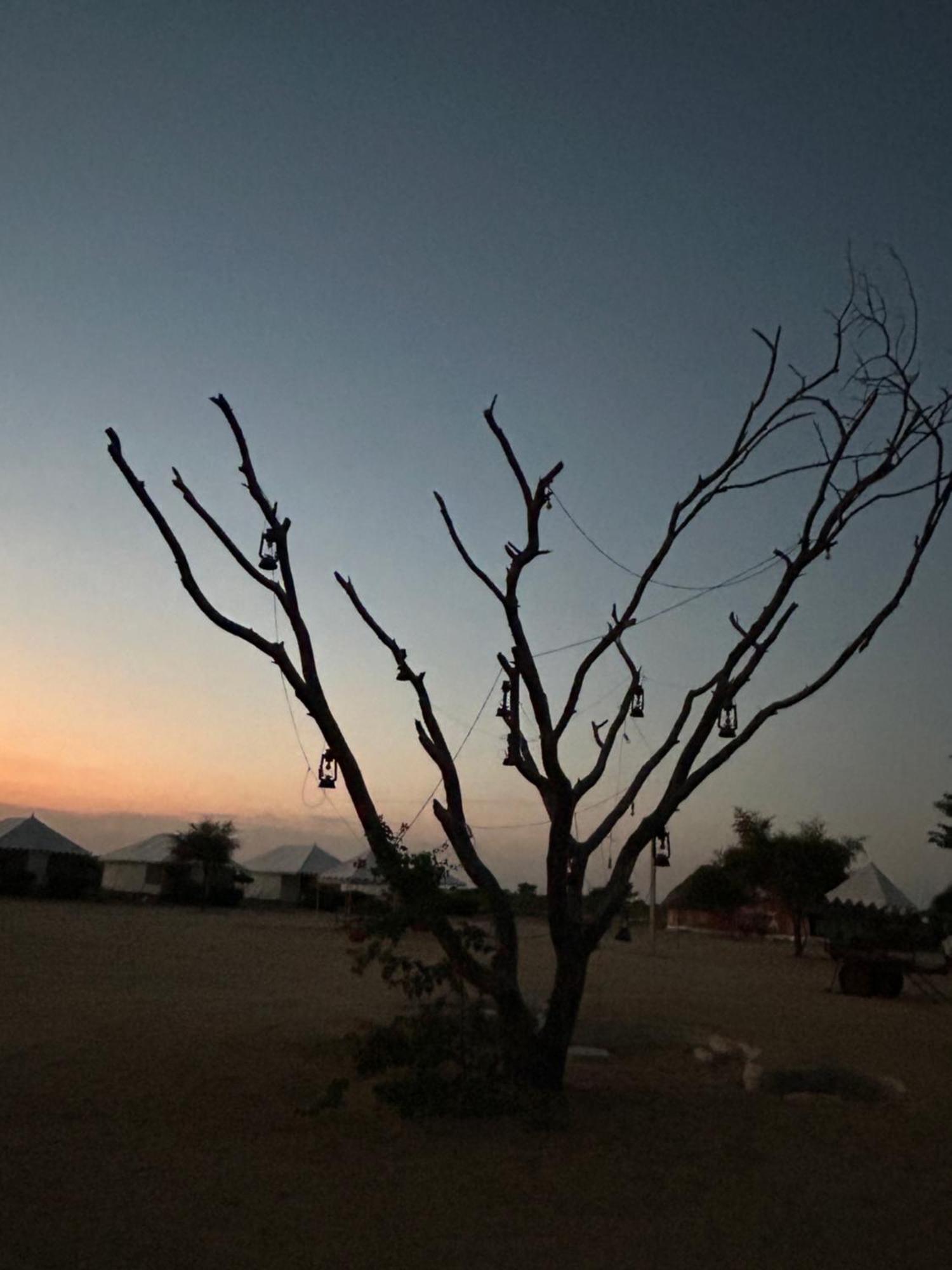 Sunny Desert Camp Kuri Bagian luar foto