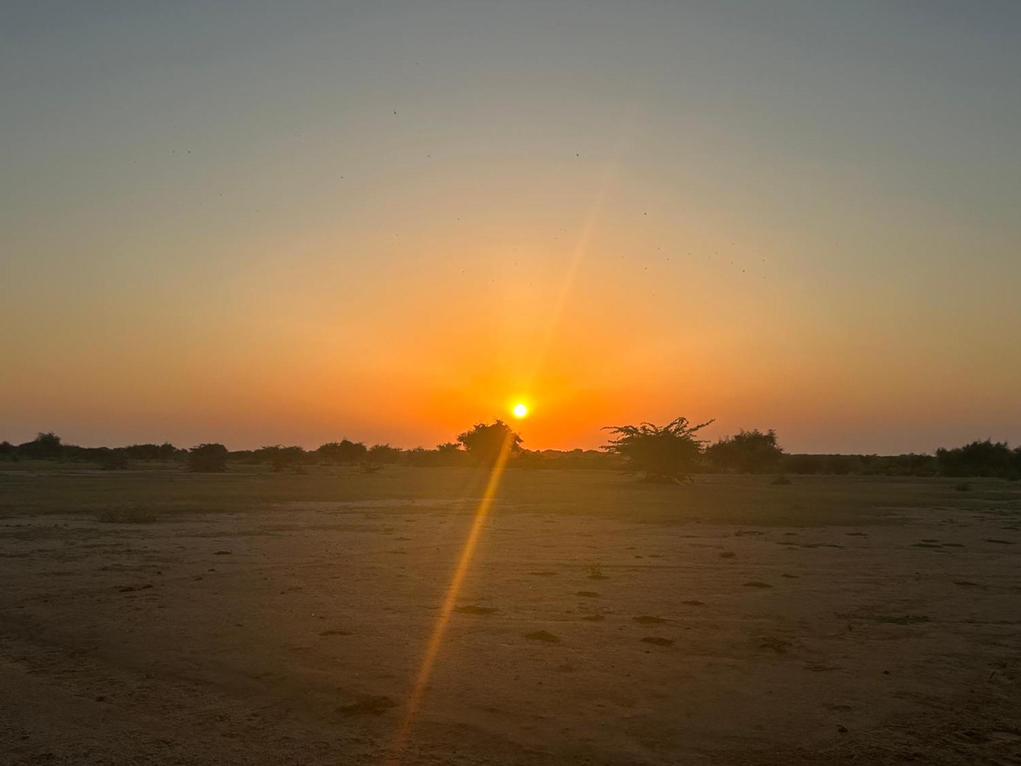 Sunny Desert Camp Kuri Bagian luar foto